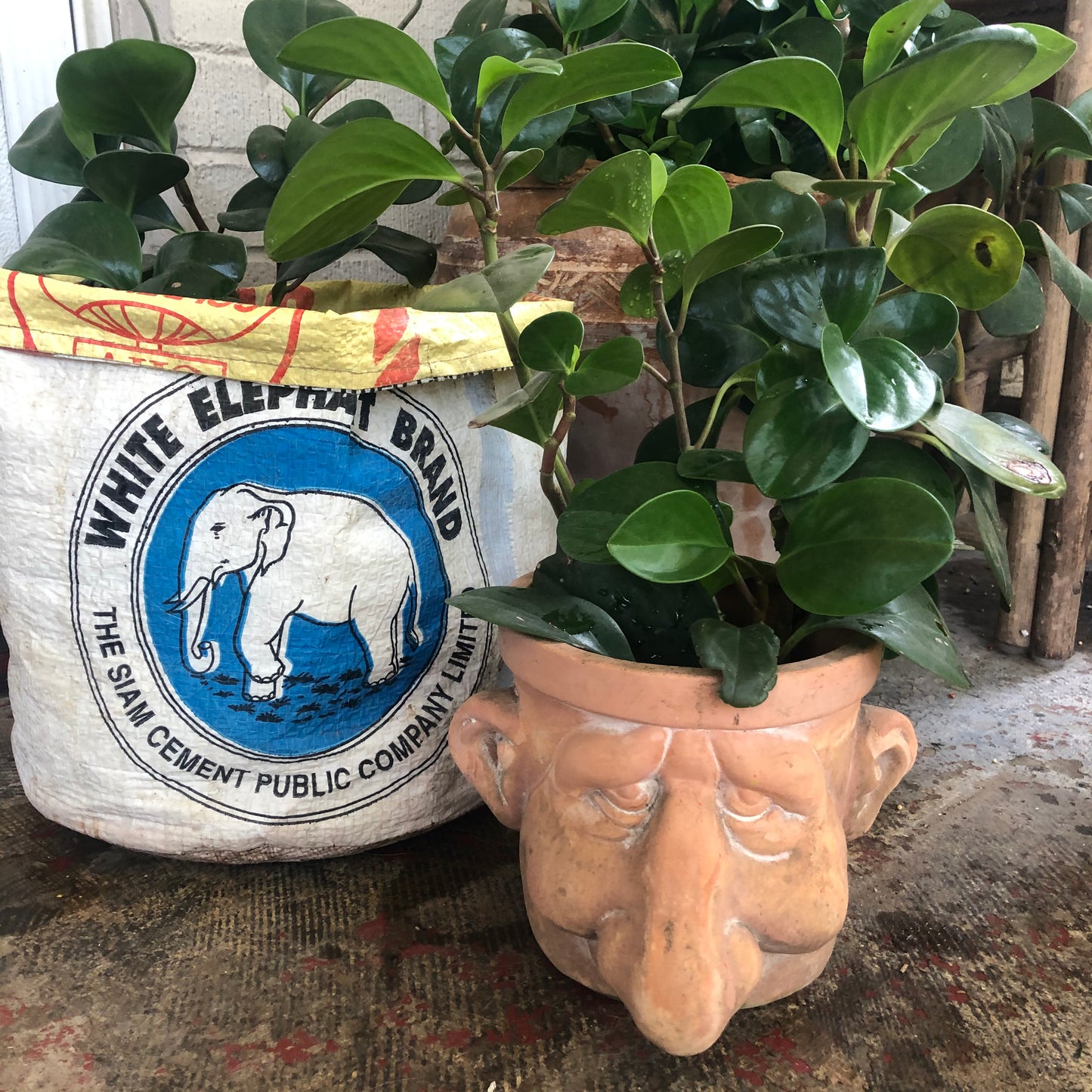 Planter