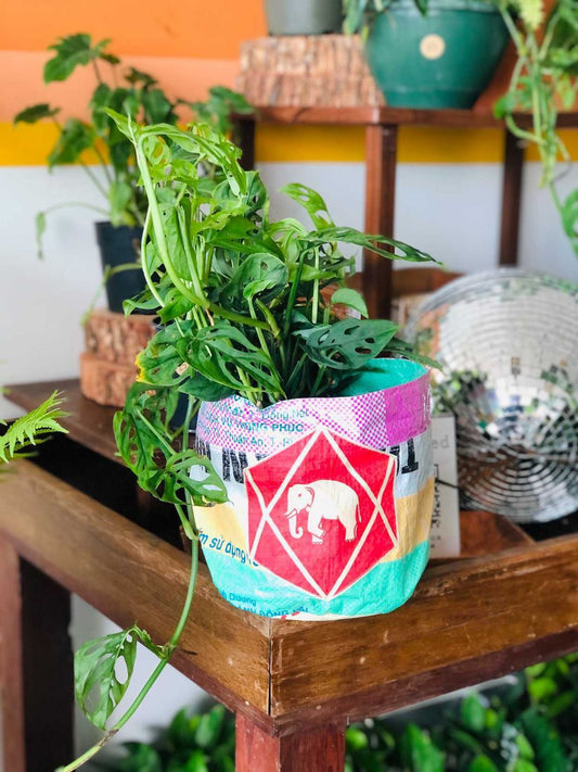 Planter