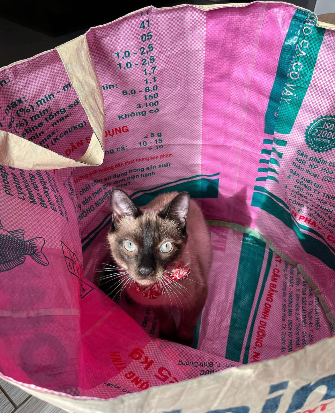 Everything Bag