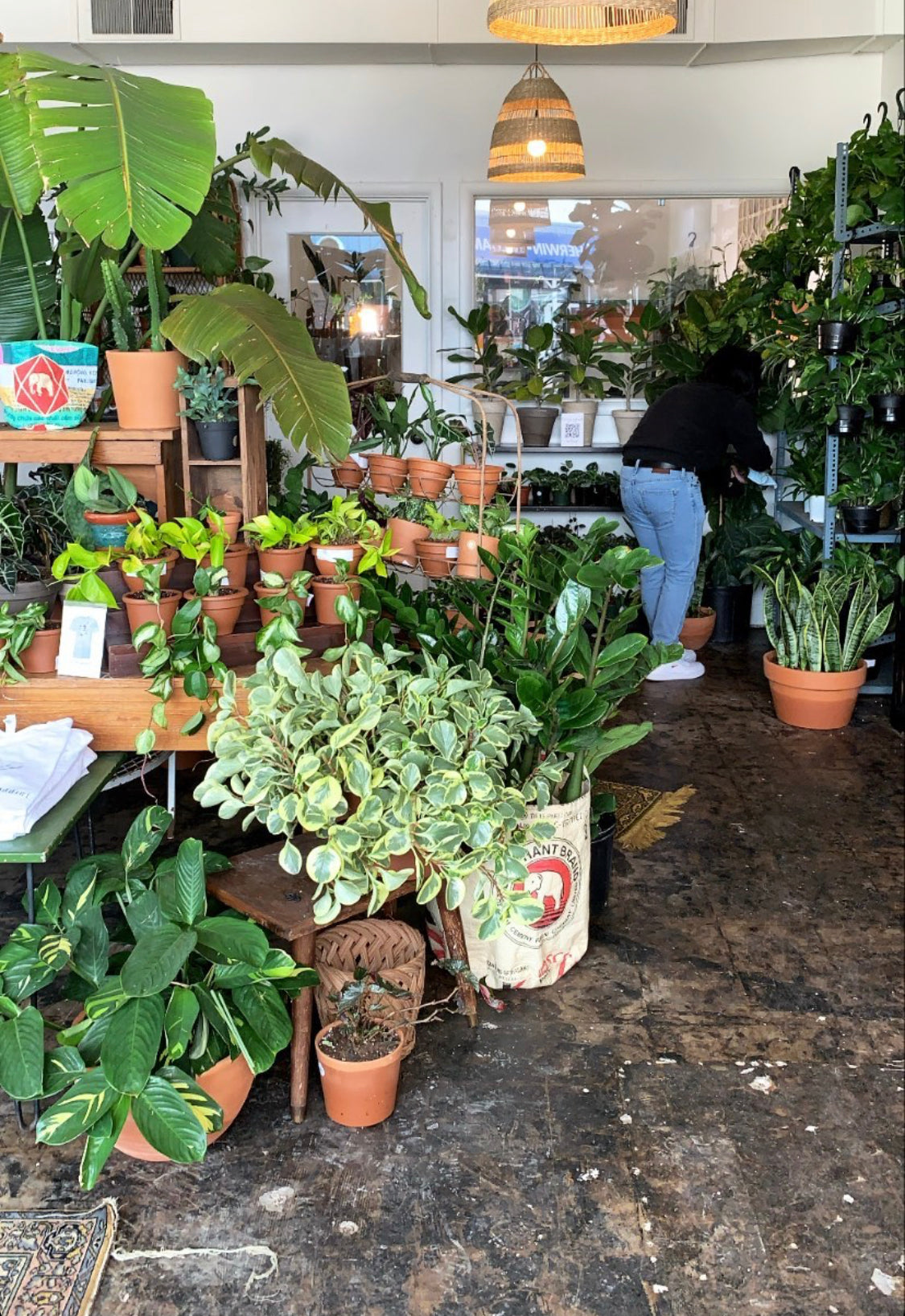 Planter
