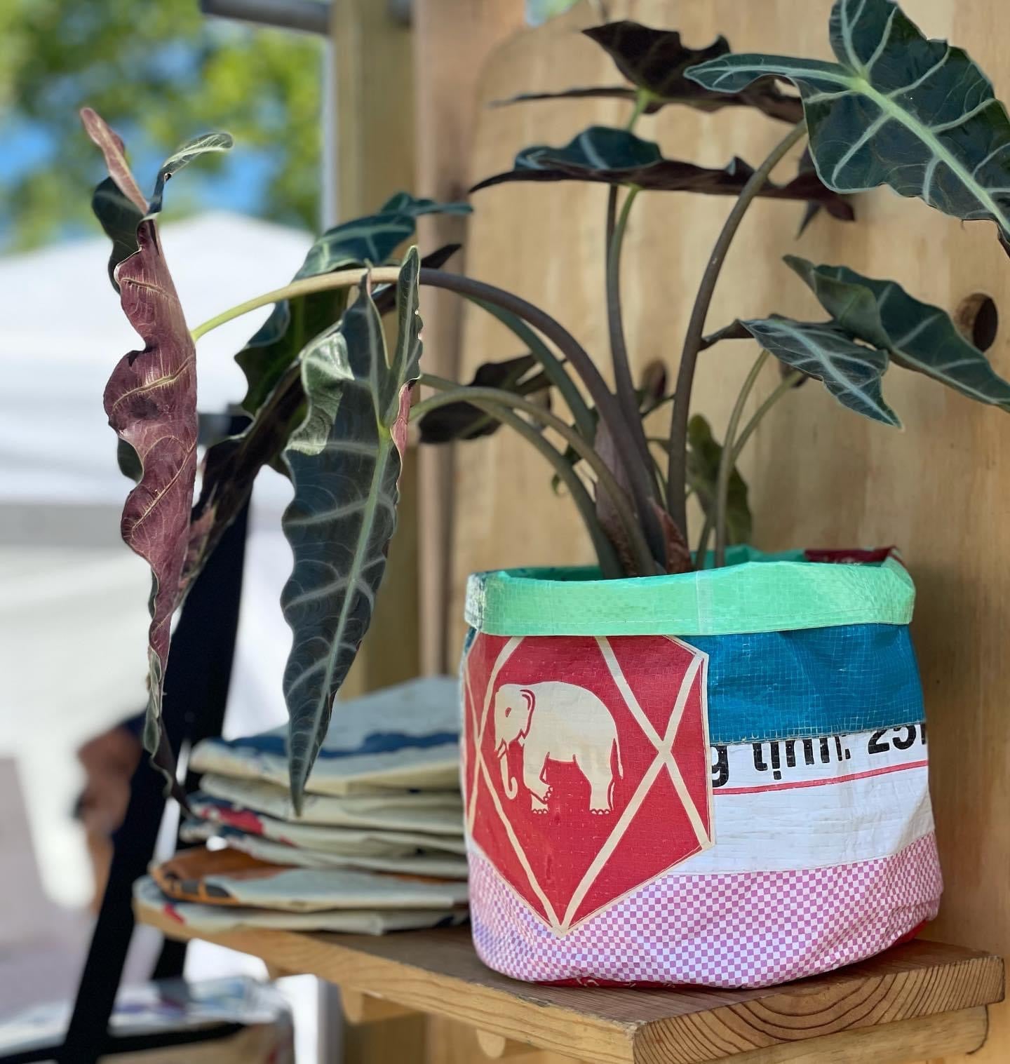 Planter