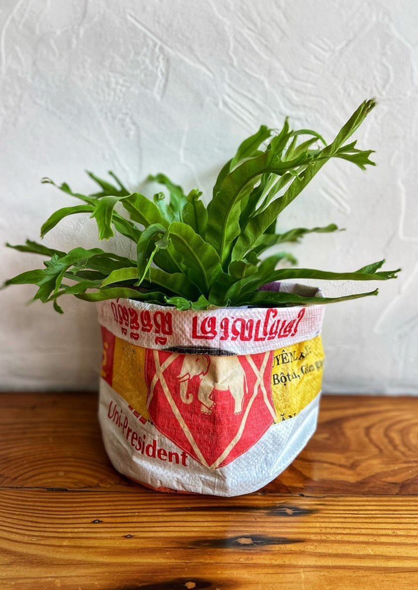 Planter