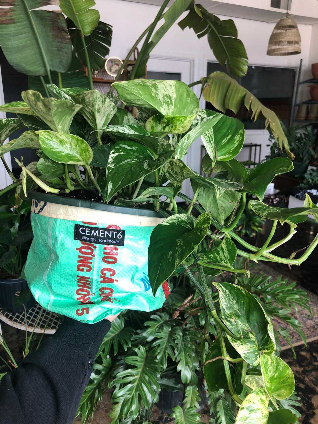 Planter
