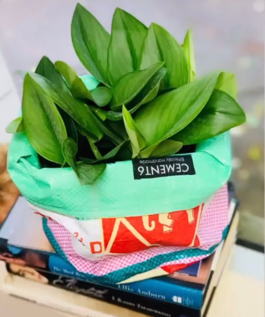 Planter